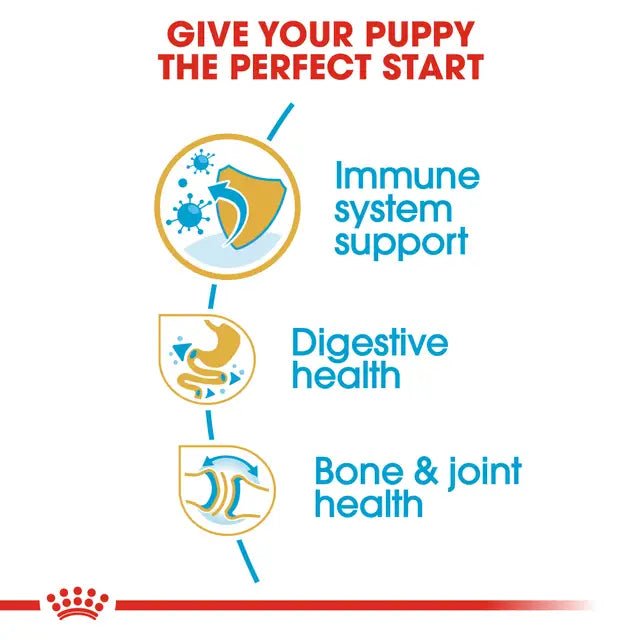 Royal Canin French Bulldog Puppy Dry Dog Food – 3kg - Pet Supply